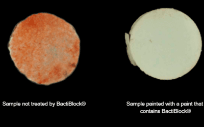 BactiBlock® meets the ASTM E1428 test against pink stain bacteria!